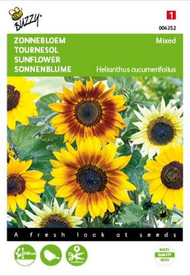 Sonnenblume (Helianthus) 160 Samen BU
